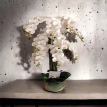 Orchideák