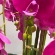 Rózsaszín mű orchidea, 120 cm