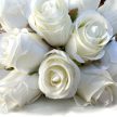 Fehér színű mű rózsacsokor, 12 szál, 25 cm