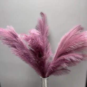 5 db világos barna színű mű pampafű, 100 cm